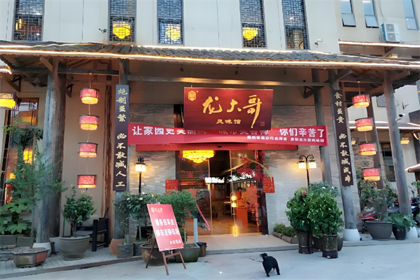 龙大哥辣子鸡 龙大哥辣子鸡