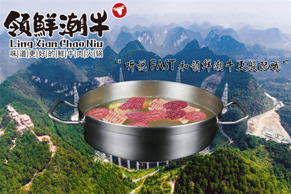 领鲜潮牛鲜牛肉火锅