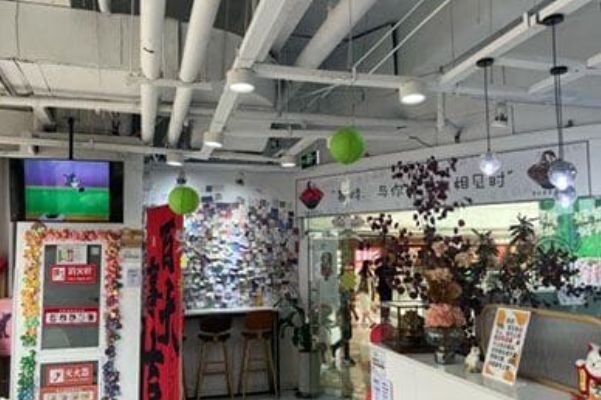 雪花姐姐 雪花姐姐