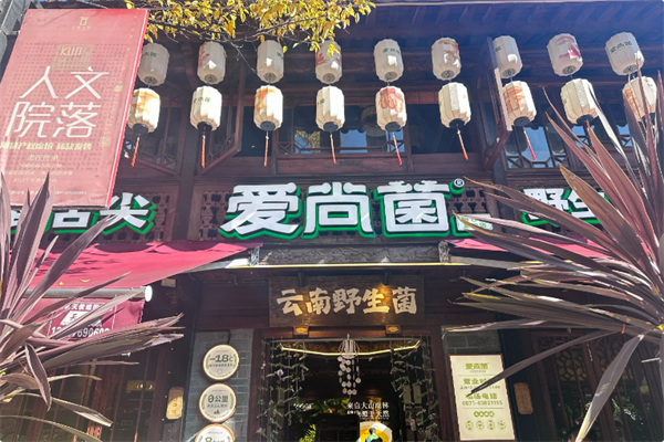 爱尚菌·野生菌火锅