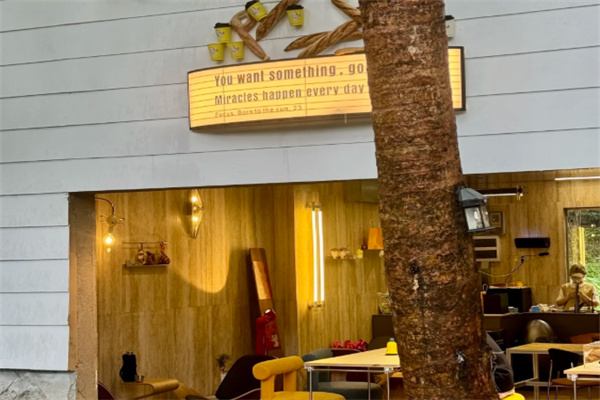 MONKEY PAI MONKEY PAI