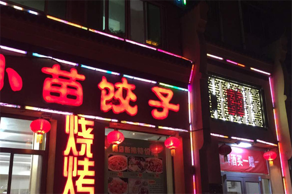 小苗饺子 小苗饺子