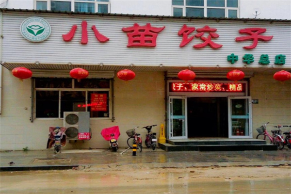 小苗饺子 小苗饺子