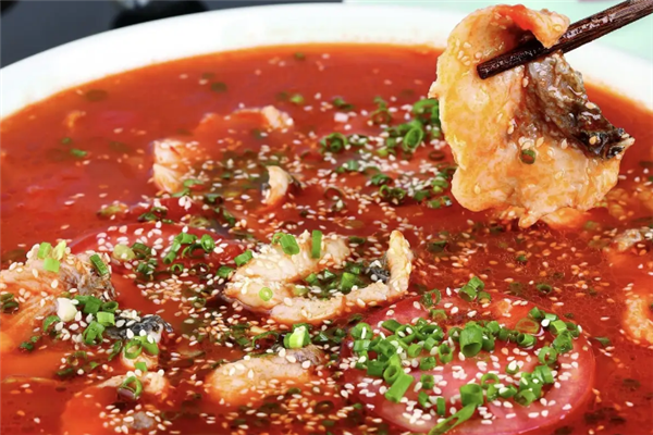 等渝重庆北渡鱼 等渝重庆北渡鱼