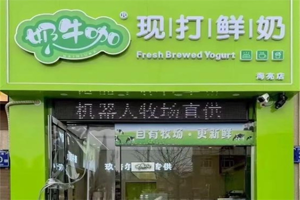 奶牛咖·鲜酿酸奶加盟费用费多少钱,奶牛咖·鲜酿酸奶加盟条件,奶牛咖·鲜酿酸奶加盟电话 奶牛咖·鲜酿酸奶加盟费用费多少钱,奶牛咖·鲜酿酸奶加盟条件,奶牛咖·鲜酿酸奶加盟电话