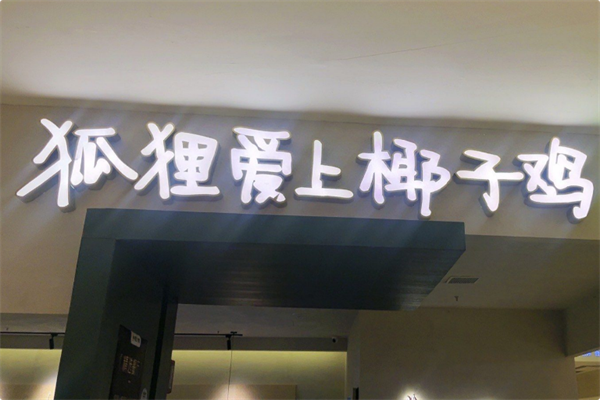 狐狸爱上椰子鸡 狐狸爱上椰子鸡