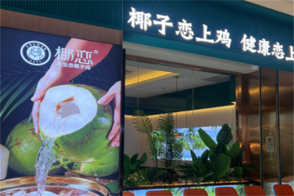 椰恋·原生态椰子鸡 椰恋·原生态椰子鸡