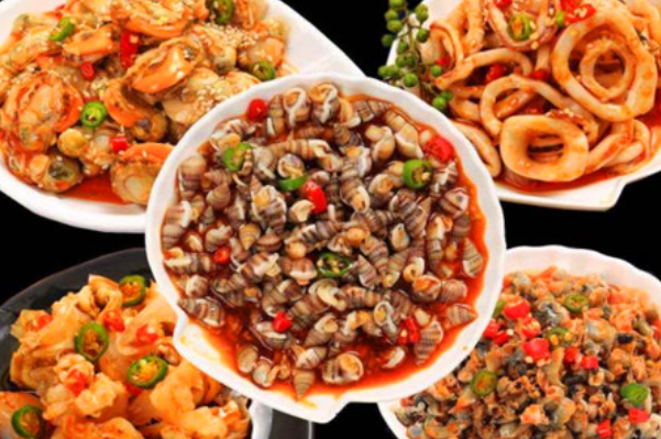 贝壳姑娘 贝壳姑娘