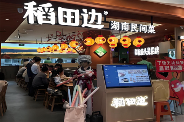稻田边湖南民间菜