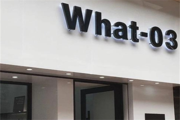What-03 What-03
