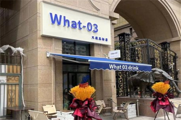 What-03 What-03