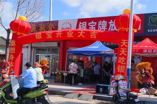 泰安银宝食品