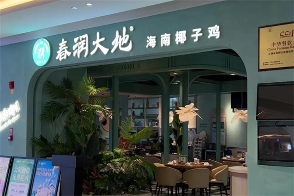 春润大地椰子鸡 春润大地椰子鸡