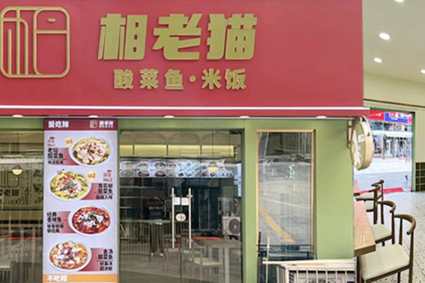 相老猫酸菜鱼 相老猫酸菜鱼