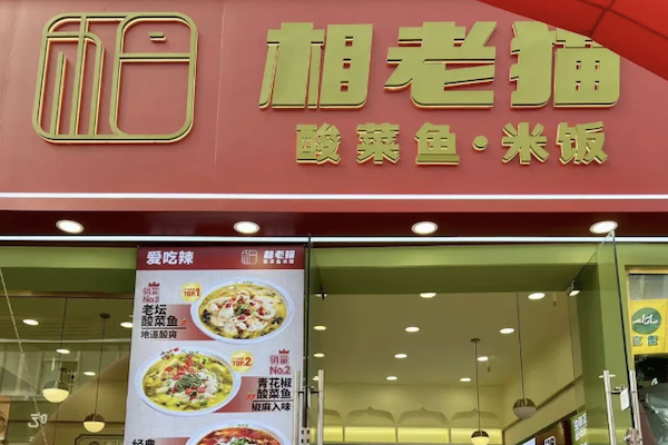 相老猫酸菜鱼 相老猫酸菜鱼