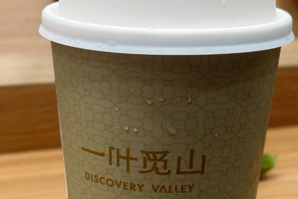 一叶觅山 一叶觅山