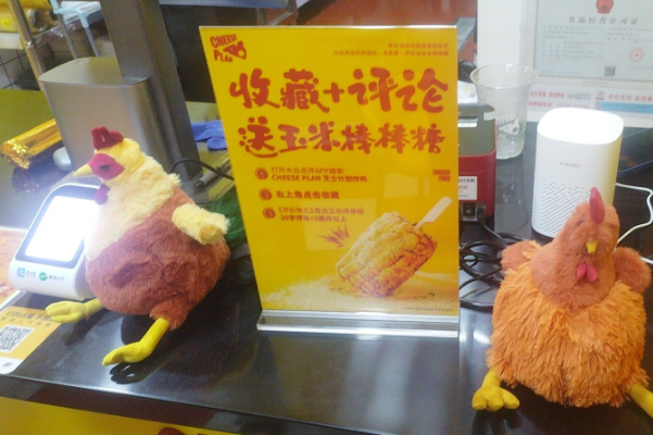 芝士计划 芝士计划