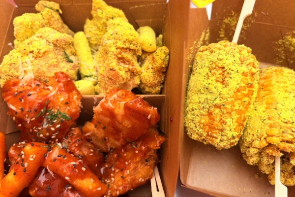 芝士计划 芝士计划