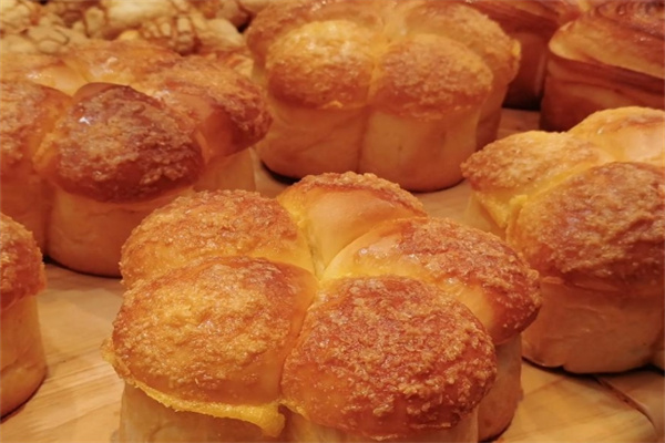 马复胜加盟品牌介绍,马复胜加盟费用,马复胜加盟条件 马复胜加盟品牌介绍,马复胜加盟费用,马复胜加盟条件