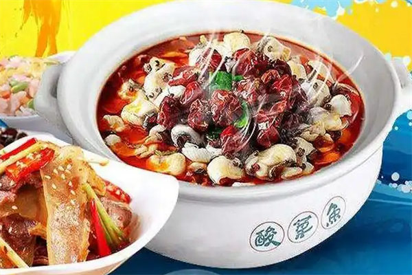 九两鱼酸菜鱼 九两鱼酸菜鱼