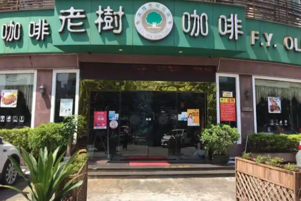 老树咖啡 老树咖啡