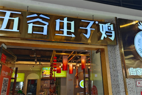 五谷虫子鸡