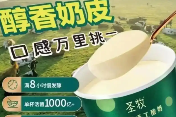 圣牧有机奶皮子手工酸奶