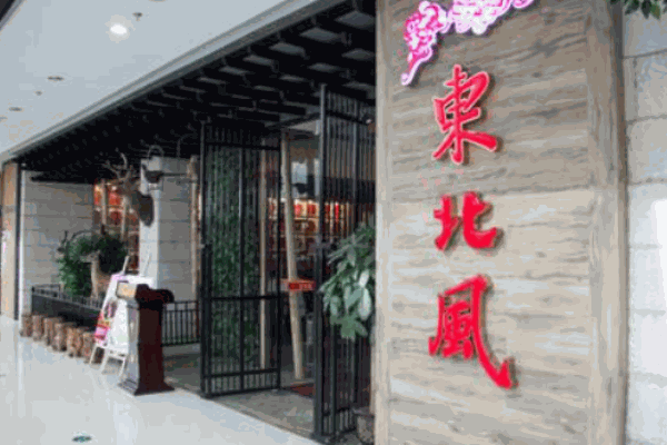 东北风 东北风