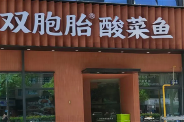 双胞胎酸菜鱼 双胞胎酸菜鱼