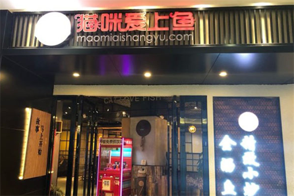 猫咪爱上鱼酸菜鱼