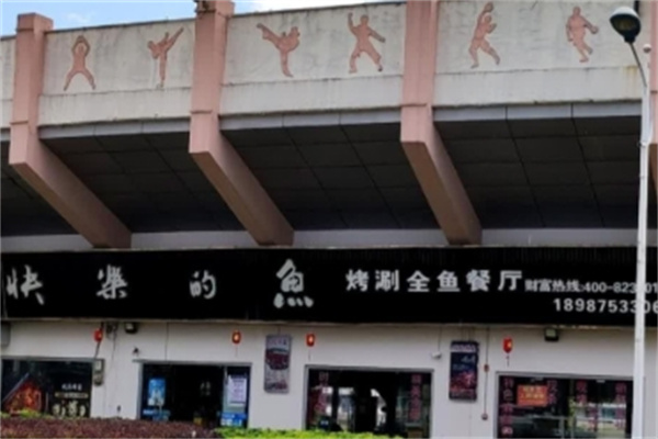 快乐的鱼 快乐的鱼