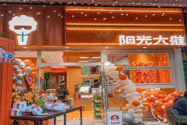 阳光大维