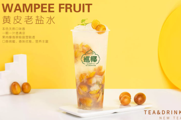 巡椰 巡椰