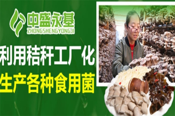 中盛永基食用菌 中盛永基食用菌
