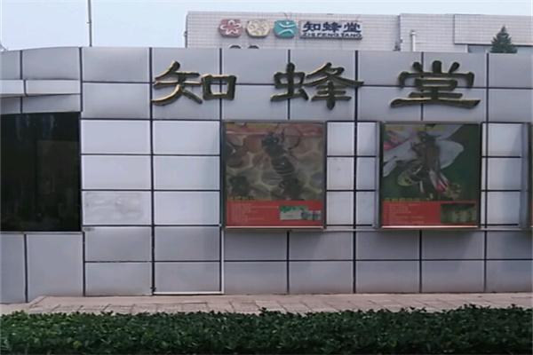 知蜂堂