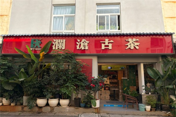 澜沧古茶茶叶