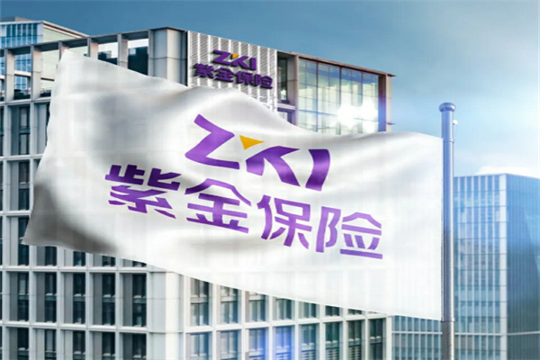 紫金保险 紫金保险