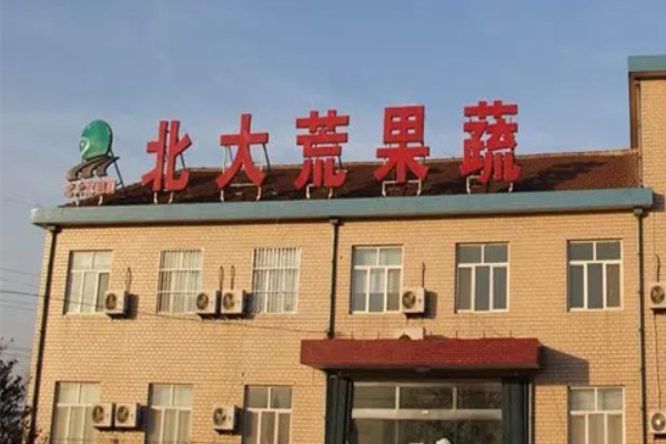 北大荒果蔬