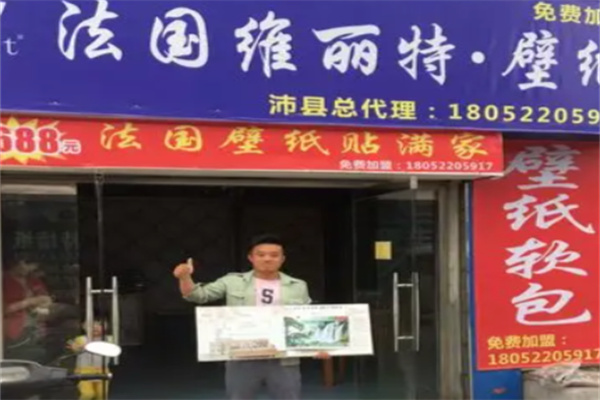 维丽特墙纸 维丽特墙纸