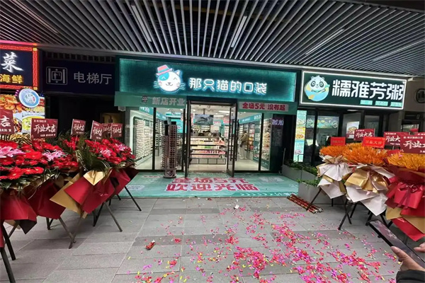那只猫的口袋五元店 那只猫的口袋五元店