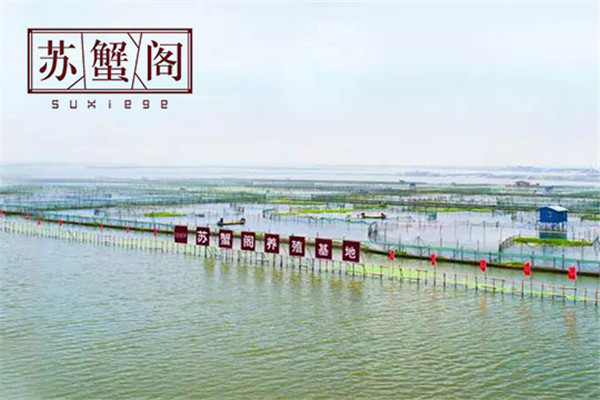 苏蟹阁大闸蟹专卖店