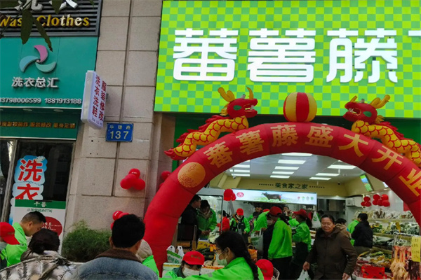 蕃薯藤生鲜店