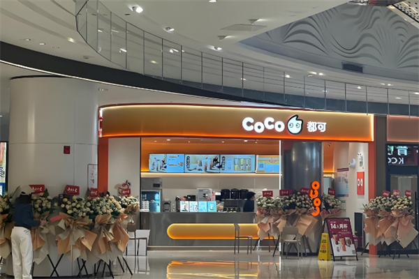 coco都可