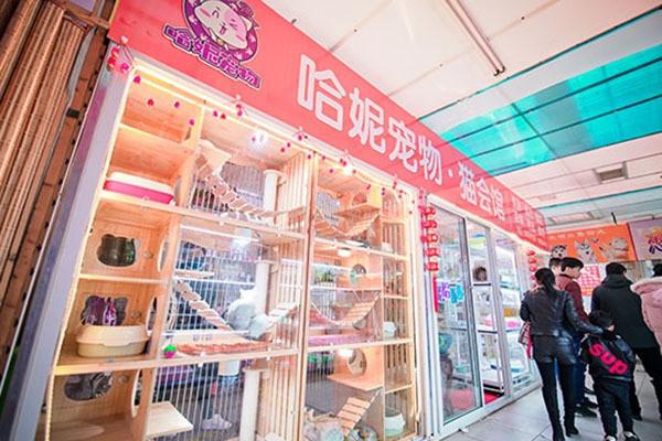 哈妮宠物店