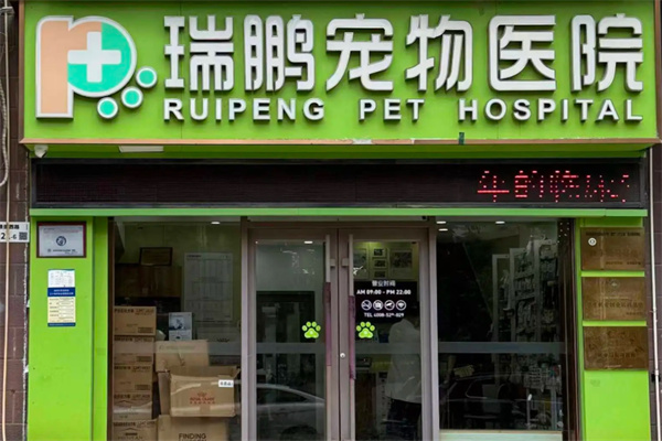 新瑞鹏宠物店