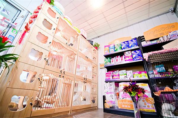 哈妮宠物店