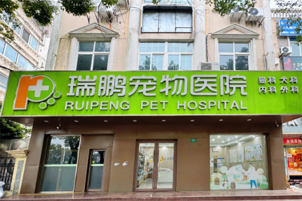 新瑞鹏宠物店