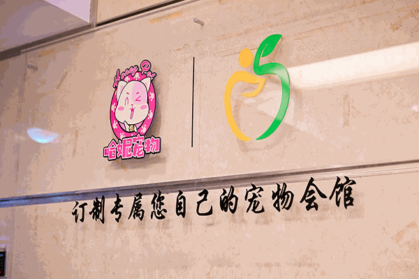 哈妮宠物店