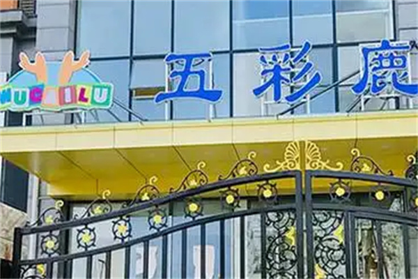 五彩鹿儿童行为矫正中心 五彩鹿儿童行为矫正中心