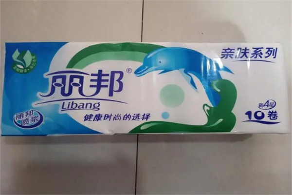 丽邦卫生纸加盟 丽邦卫生纸加盟